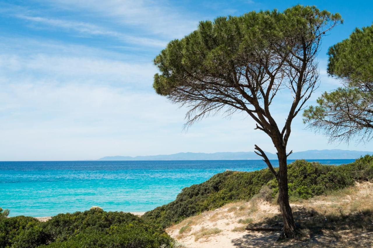 Appartamento Con Vista Mare A Terramala Terra Mala Extérieur photo